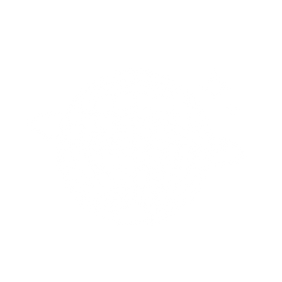 netstar®